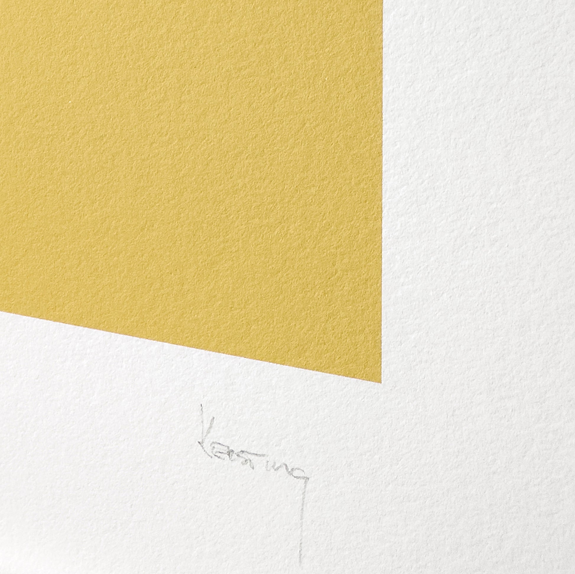 Detailaufnahme Signatur Kunstdruck im Bilderrahmen, Motiv gelb monochromr Raum, Titel Styr IV - Edition